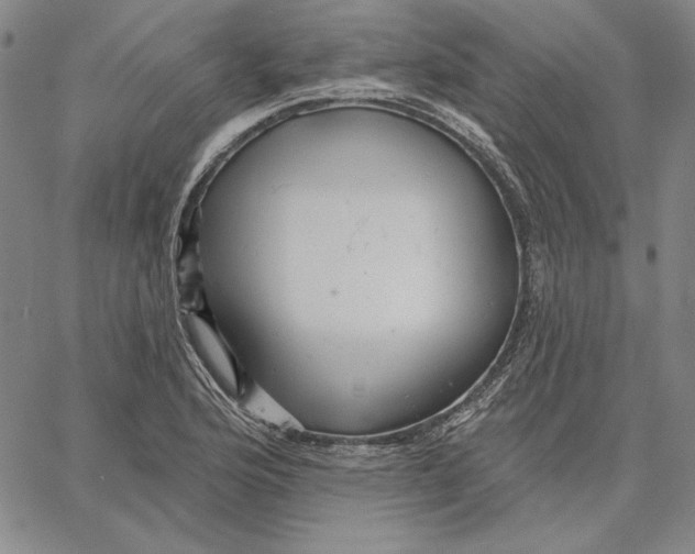 X0000066531176200604071609