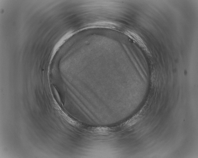 X0000066531180200604071609