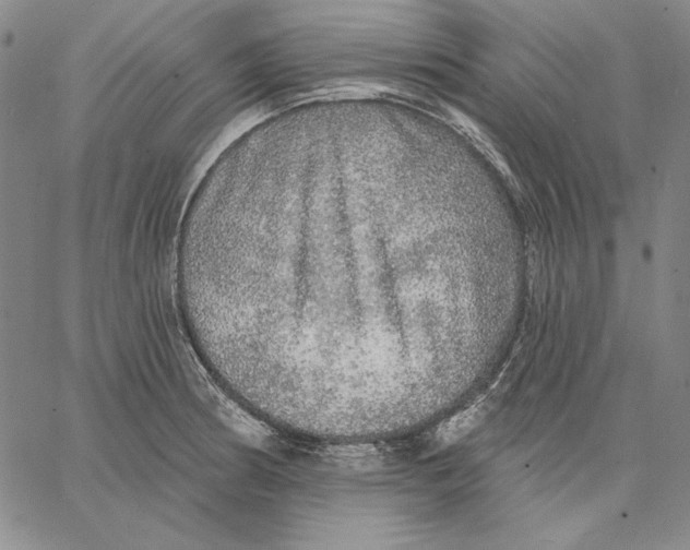 X0000066531186200604071609