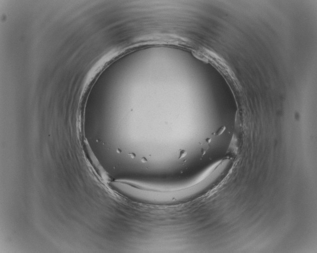 X0000066531188200604071609