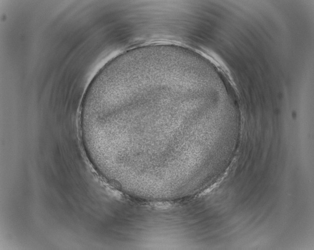 X0000066531190200604071609