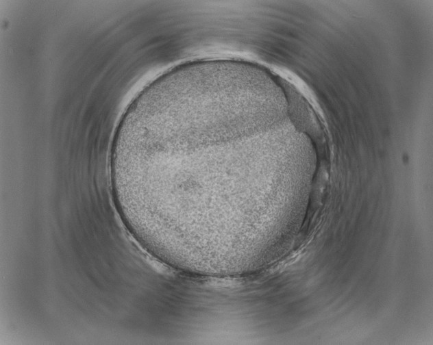 X0000066531191200604071609