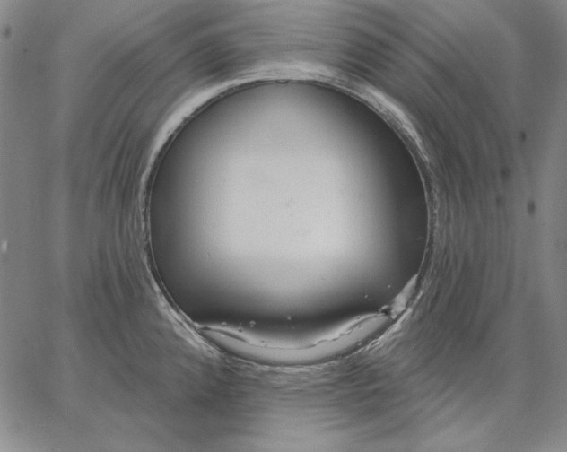 X0000066531192200604071609