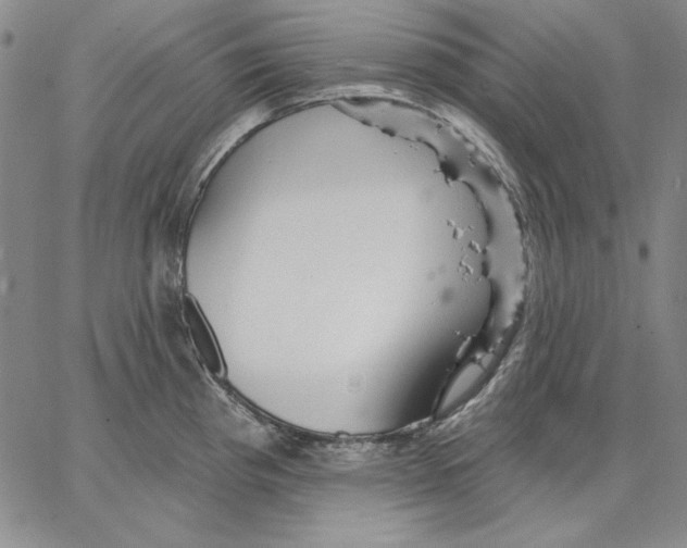 X0000066531193200604071609