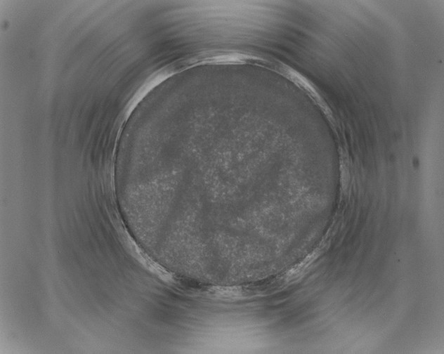 X0000066531194200604071609