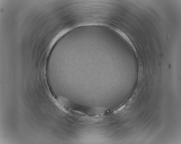 X0000066531197200604071609