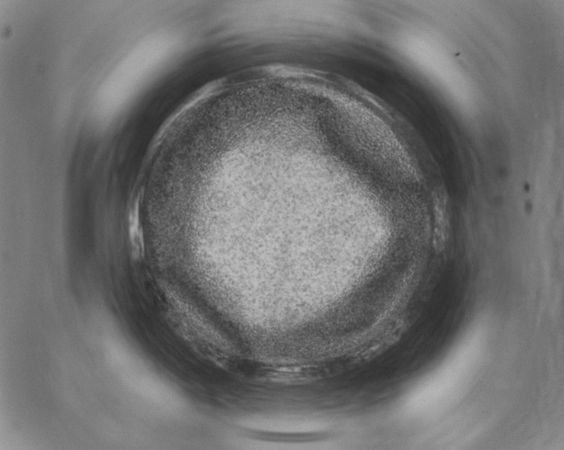 X0000066531198200604071609