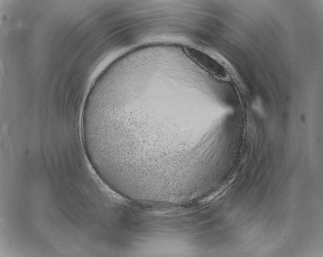 X0000066531199200604071609