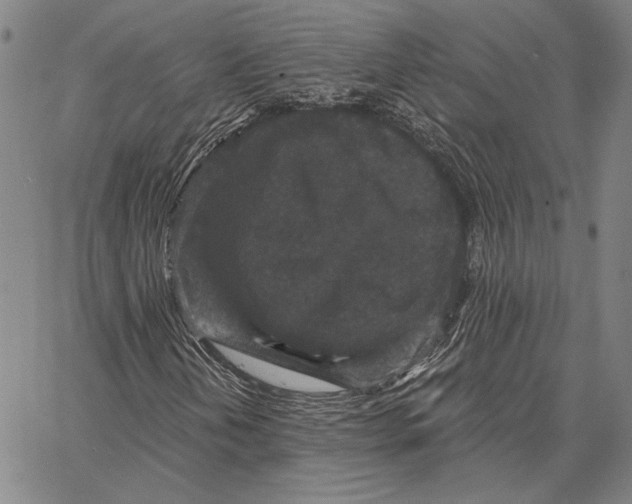 X0000066531202200604071608