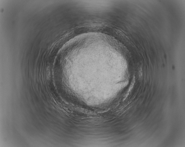 X0000066531204200604071608