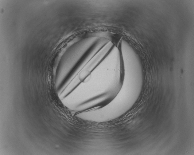 X0000066531206200604071608