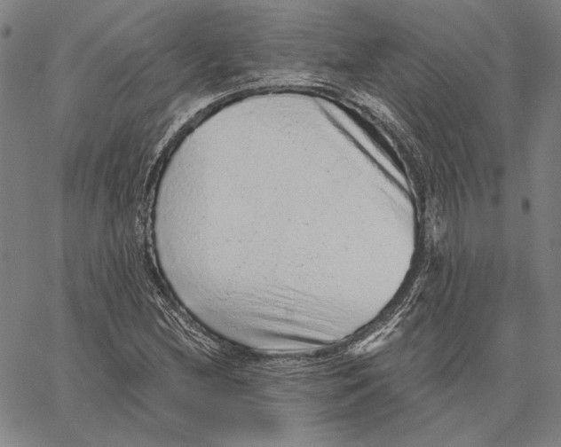 X0000066531212200604071608