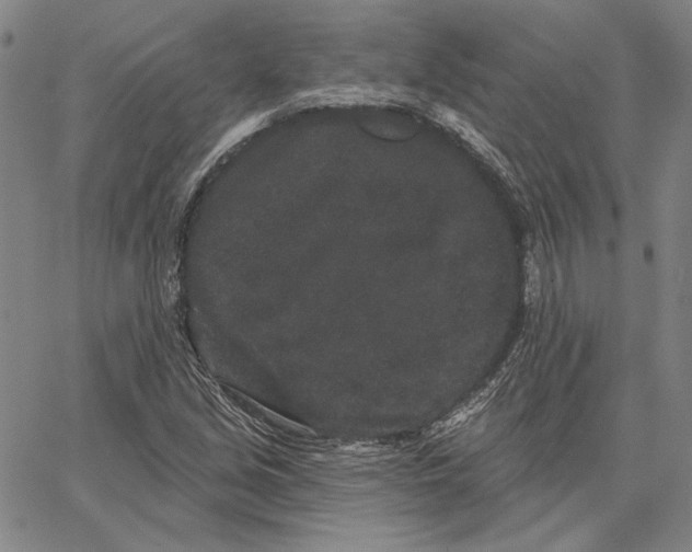 X0000066531213200604071608