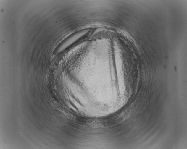 X0000066531217200604071608