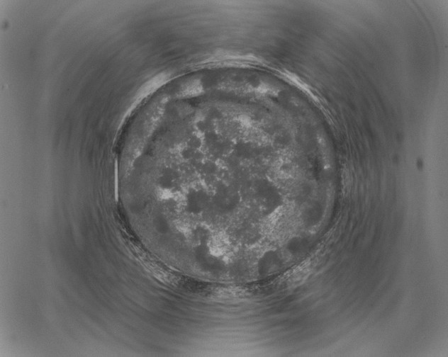 X0000066531219200604071608