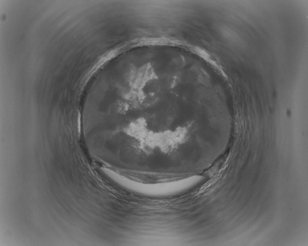 X0000066531221200604071608