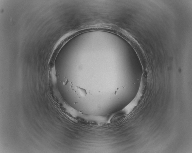 X0000066531222200604071608