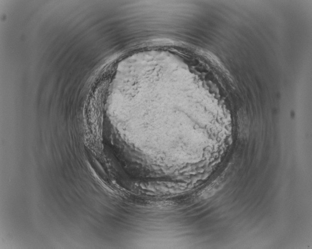 X0000066531225200604071608