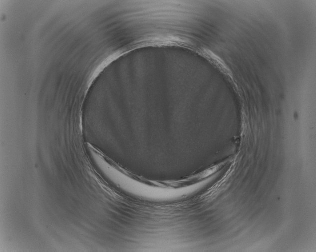 X0000066531226200604071609