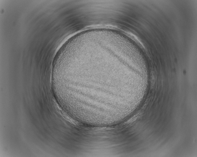 X0000066531228200604071609