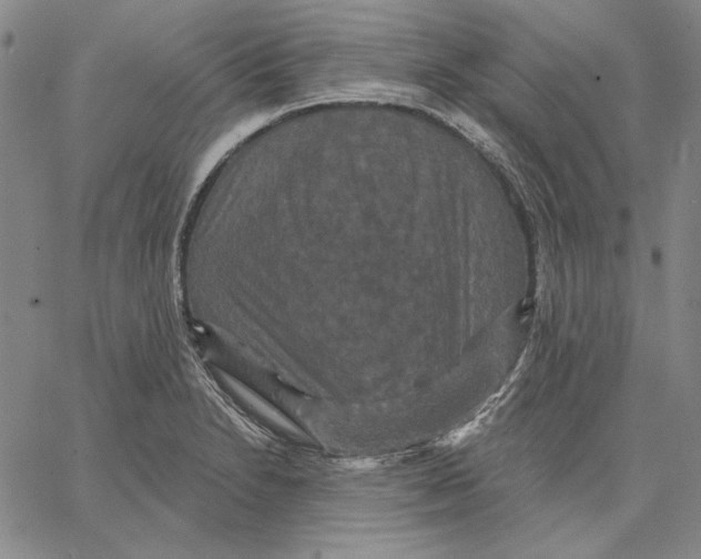 X0000066531230200604071609