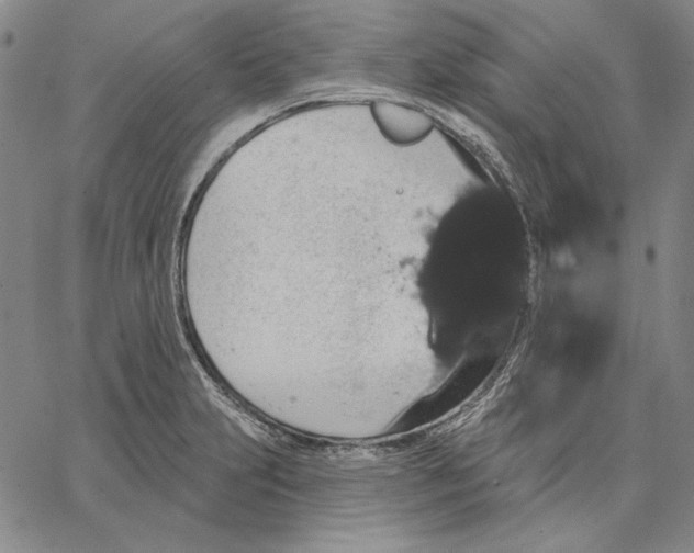 X0000066531231200604071609