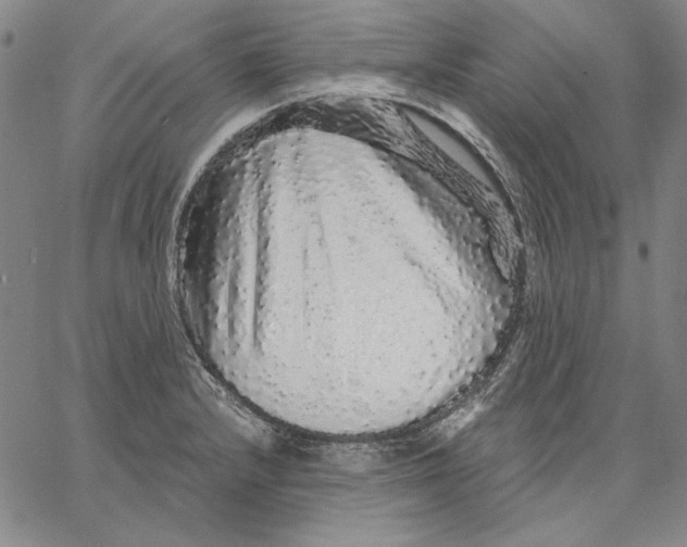 X0000066531232200604071609