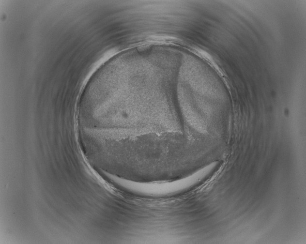 X0000066531235200604071609