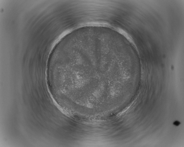 X0000066531237200604071609