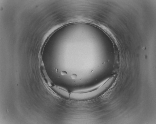 X0000066531238200604071609