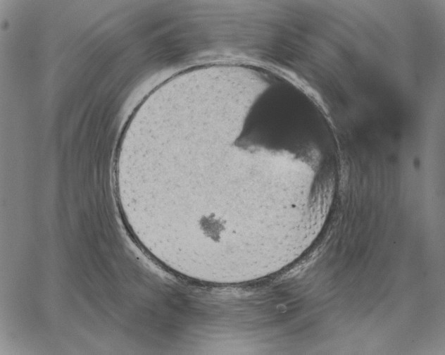 X0000066531239200604071609