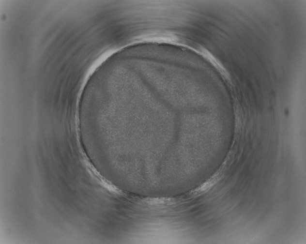 X0000066531240200604071609