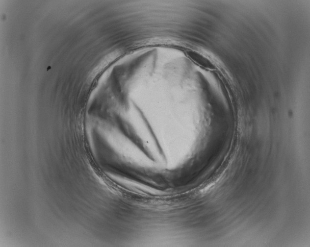 X0000066531241200604071609