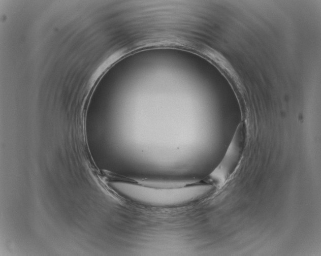 X0000066531242200604071609