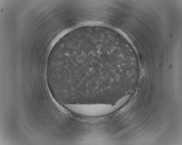 X0000066531245200604071609