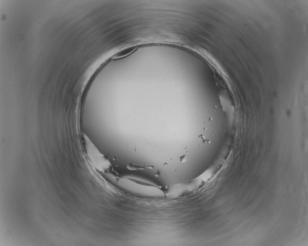 X0000066531246200604071609