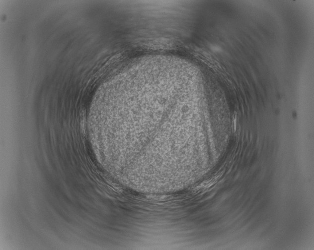 X0000066531251200604071608