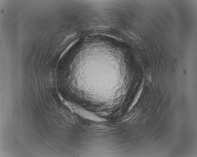 X0000066531252200604071608