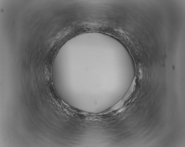 X0000066531253200604071608