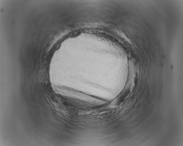 X0000066531256200604071608