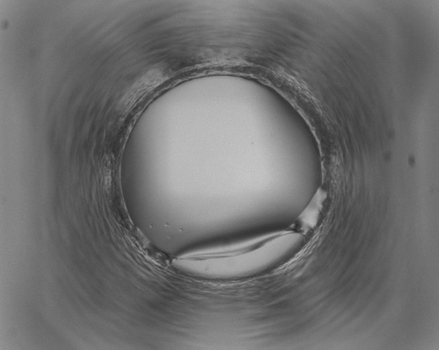 X0000066531257200604071608