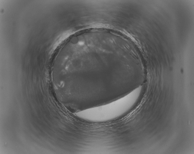 X0000066531263200604071608