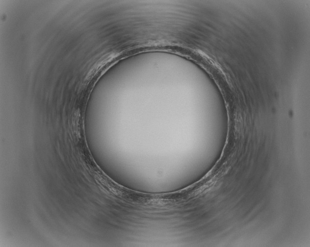 X0000066531265200604071608