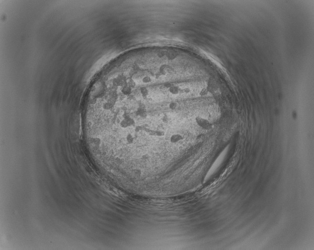 X0000066531267200604071608