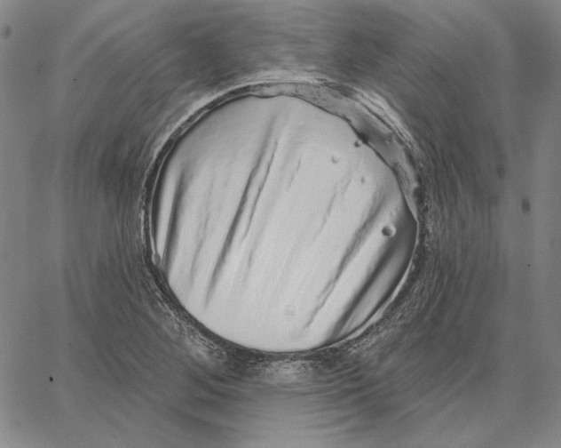 X0000066531268200604071608