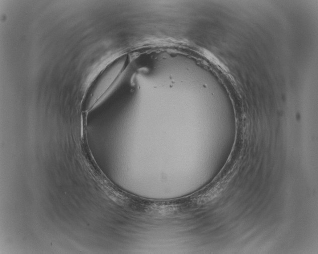 X0000066531269200604071608