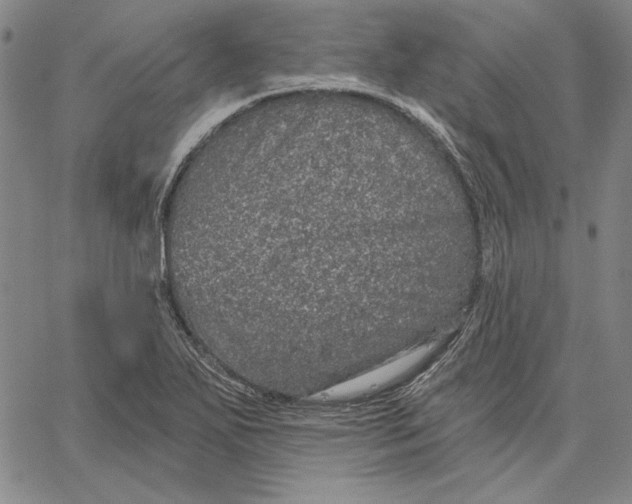 X0000066531271200604071608