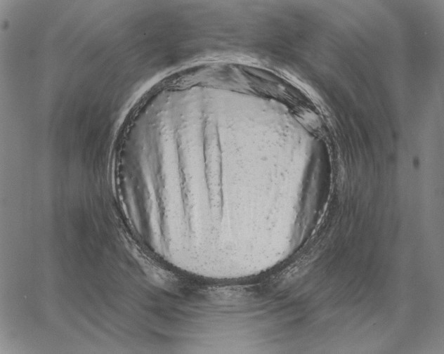 X0000066531272200604071608