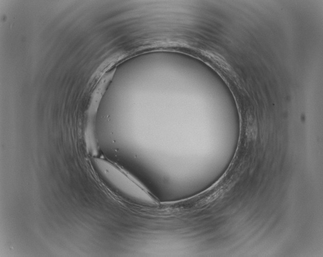 X0000066531273200604071608