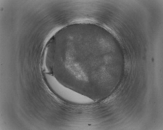 X0000066531277200604071608